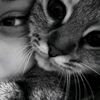 glxsyy.elyy