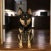 bfromcle