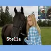 stellacheval2