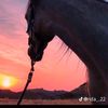 ابو زيادالعطاوي