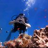 mahmoudsea1