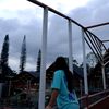 anel_gacorr_