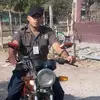mlnorg3