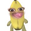 xvytt65