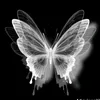 _milly_3453