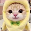 pitatunnapisahh