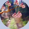 fofo_1513