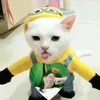thientuyetk10