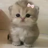 abunjinggggg013
