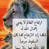 dy8ilzqvjrj5