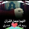 ahmedhamada5430