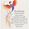 phoenixg0608