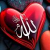 mdibrahim00270
