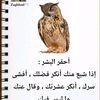 user107624594880