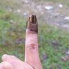 buwid88