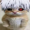 nikitaseratotop