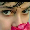 baseerkhan3903