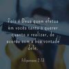 tipografia_gospel