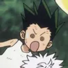 citrus_spacefurry