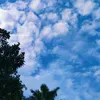 siyadumpling