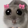 na3immm1