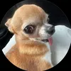 nghnaxx
