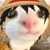 ran_cne