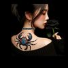 2022asya996