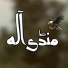 jaffarali1169