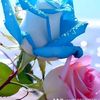 user51908624371288