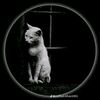 user1961327095206