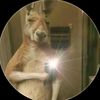 707solitario
