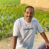 basammagdy6