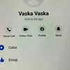 vaska2528