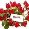mounakhemis