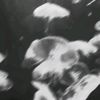 _les53