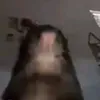 kkudbs