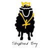 shepherdboyministries