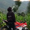 frenza041