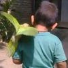 md.jehad583