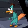 perry.iuem