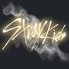 _straykids_stay_leeknow