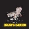 java.sgecko01