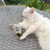 caspercoronabeercat