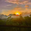 vnzhan18