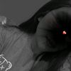 ailedhm7