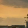 zal_339