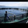 wonderaquaticstzlakevic