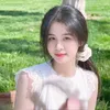 tulip_968
