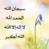 user2zayk